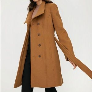 Aritzia The Connor Coat